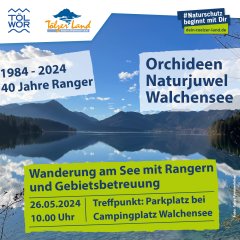 Wanderung am Walchensee am 26.05.2024
