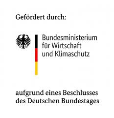 Logo Förderung BMWi